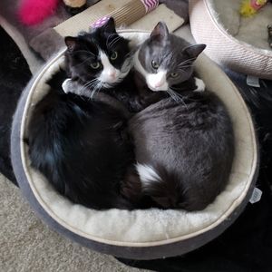 Meet your Posher, Diane